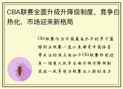 CBA联赛全面升级升降级制度，竞争白热化，市场迎来新格局