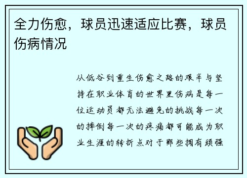 全力伤愈，球员迅速适应比赛，球员伤病情况