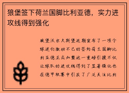 狼堡签下荷兰国脚比利亚德，实力进攻线得到强化